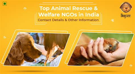 animal rescue india.